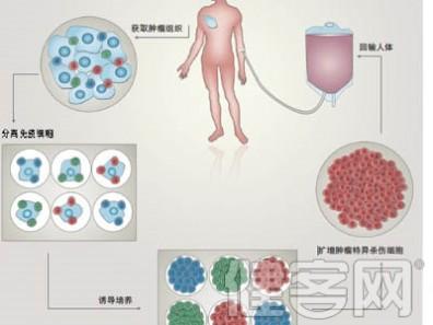 乙肝中医疗法 乙肝体细胞疗法 乙肝体细胞疗法-体细胞疗法，乙肝体细胞疗法-基