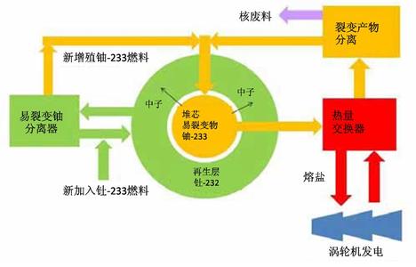 钍铀循环 钍燃料 钍燃料-钍─铀核反应，钍燃料-钍燃料循环