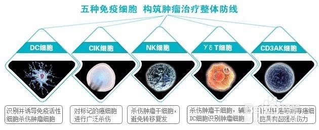 肺癌生物靶向治疗 肺癌生物治疗 肺癌生物治疗-肺癌生物治疗原理，肺癌生物治疗-肺