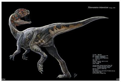 骆驼祥子人物介绍 骆驼科 骆驼科-古生物学，骆驼科-介绍