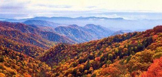 景观景点名称 大雾山 大雾山-景点简介，大雾山-内部景观