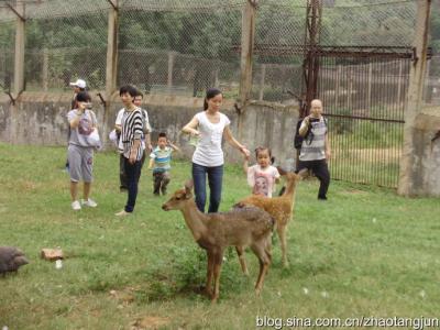 我与动物的亲密接触600 我与动物的亲密接触