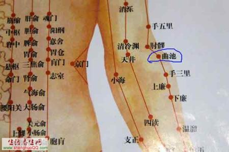 太溪穴位位置图和作用 曲池穴穴位位置图及作用