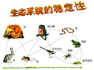 破坏生态平衡的事例 生态平衡 生态平衡-概念简介，生态平衡-破坏因素