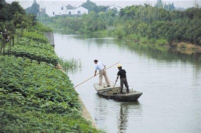 湄公河行动电影介绍 河长 河长-基本介绍，河长-相关电影