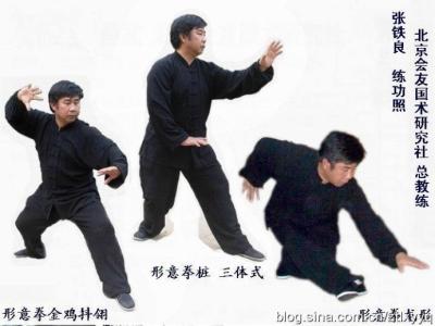 美式风格特点 意拳 意拳-发展传承，意拳-风格特点