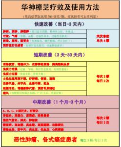 地理事物空间分布特征 牛樟芝 牛樟芝-地理分布，牛樟芝-形态特征