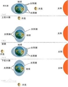 潮汐形成的原因 潮汐 潮汐-基本信息，潮汐-形成原因