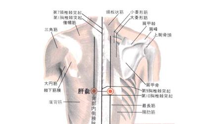 肝腹水病因 肝腹水 肝腹水-简介，肝腹水-病因分类