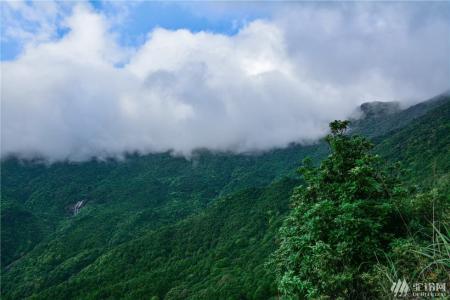 香港旅游景点简介 大南山 大南山-景点简介，大南山-。