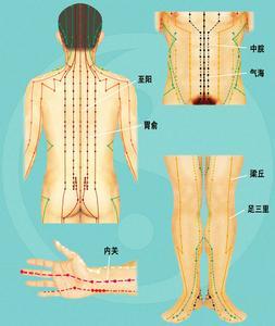 急性前列腺炎病因病理 胃脘痛 胃脘痛-病因病机，胃脘痛-病理鉴断