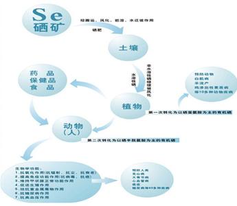 土壤基本理化性质 硒 硒-硒的基本信息，硒-理化性质