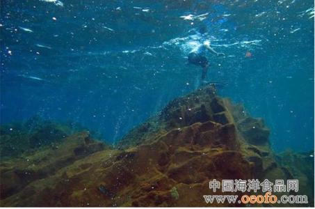 海底火山 海底火山 海底火山-火山分布，海底火山-火山分类