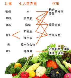 食物营养素含量表 营养素 营养素-种类，营养素-食物关系