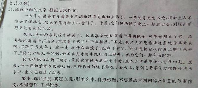 我有一个梦作文开头 我有一个梦作文800字