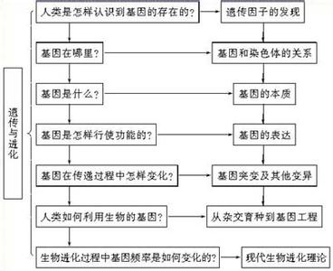 遗传算法的基本原理 遗传 遗传-基本解释，遗传-详细解释