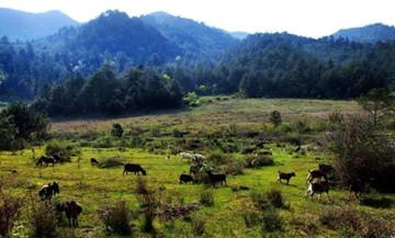 仙山牧场 仙山牧场 仙山牧场-简介，仙山牧场-景点