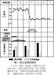 人类疱疹病毒 人类疱疹病毒6，7，8型感染性疾病 人类疱疹病毒6，7，8型感染性