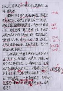 小刺猬作文400字 小刺猬作文