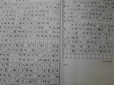 我真开心作文450字 我真开心作文500字