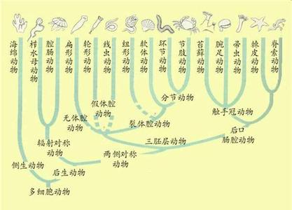 杭州蟋蟀界老陆民简介 空界 空界-简介，空界-相关条目