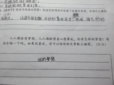 我的理想钢琴家作文 我的理想――钢琴家700字作文