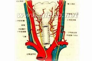 地方性克汀病 地方性克汀病 地方性克汀病-症状体征，地方性克汀病-疾病病因