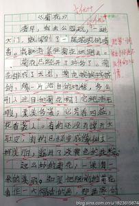 菊花的作文100字 菊花的作文