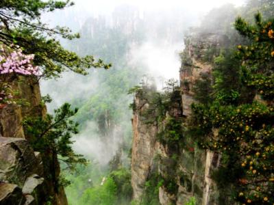 张家界神堂湾 张家界神堂湾 张家界神堂湾-简介，张家界神堂湾-景点