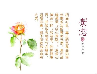 百科名片 素恋 素恋-百科名片，素恋-品牌介绍