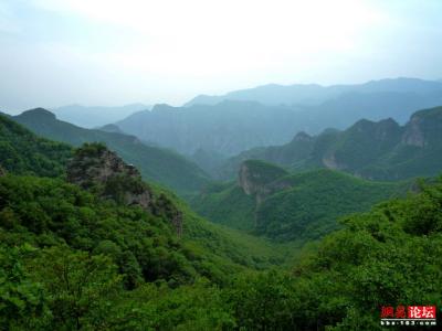 黄草梁自然风景区 黄草梁风景区 黄草梁风景区-黄草梁风景区