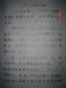 亲情为主题的作文800字 手掌上的阳光作文