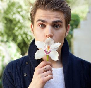 paul wesley PaulWesley PaulWesley-演艺经历，PaulWesley-个人生活