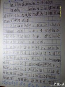 初中生社会实践作文 关于初中社会实践活动的作文