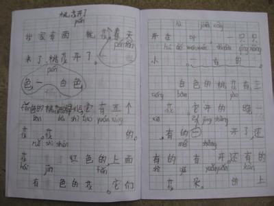 桃花开了作文300字 桃花开了作文