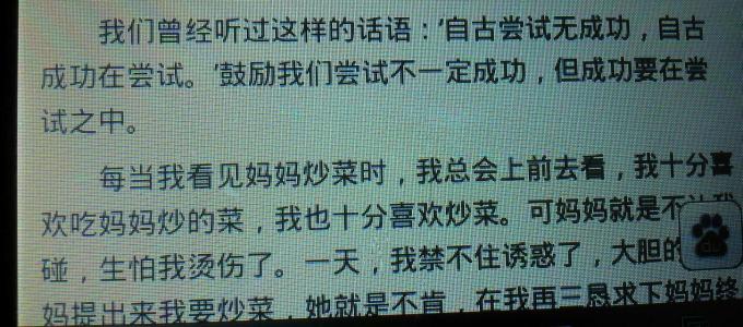 那是一次勇敢的尝试 那是一次勇敢的尝试作文400字（5篇）