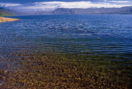 程海牌和程海湖牌 程海湖螺旋藻 程海湖螺旋藻-程海湖牌螺旋藻，程海湖螺旋藻-程海