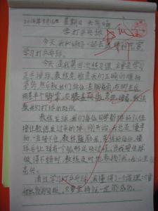 学打乒乓球 日记 学打乒乓球作文