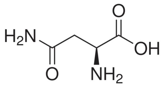 天冬酰胺是氨基酸吗 天冬酰胺