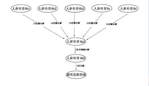 人参皂苷rh2 人参皂苷 人参皂苷-简介，人参皂苷-历史