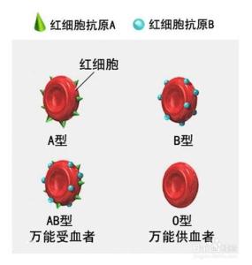 怎样检测血型机器 怎样检测血型