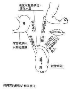 休克的病因与分类 脾破裂 脾破裂-简介，脾破裂-病因及分类