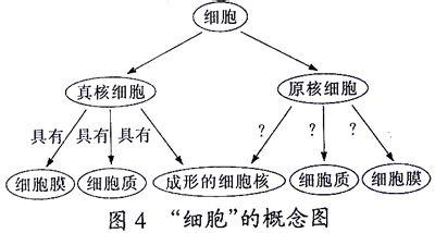 公司简介要素 概念图 概念图-简介，概念图-要素