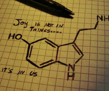 血清素的作用 血清素 血清素-作用，血清素-理化性质