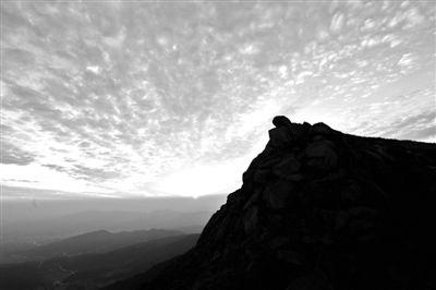 野山桃简介 《野山》 《野山》-简介，《野山》-剧情