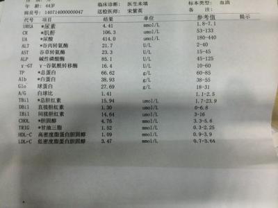 血清尿酸偏高的原因 血尿酸 血尿酸-简介，血尿酸-原因