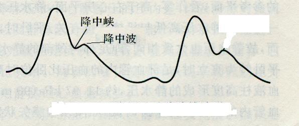 颈动脉搏动 脉搏[动脉搏动] 脉搏[动脉搏动]-定义，脉搏[动脉搏动]-正常范围