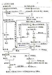 行楷27种基本笔画写法 all27 all27-基本介绍，all27-个人资料