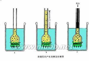 影响渗透压的因素 渗透压 渗透压-基本定义，渗透压-影响因素