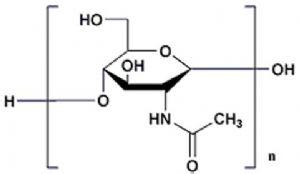 高中化学老师简介 甲壳素 甲壳素-简介，甲壳素-化学结构